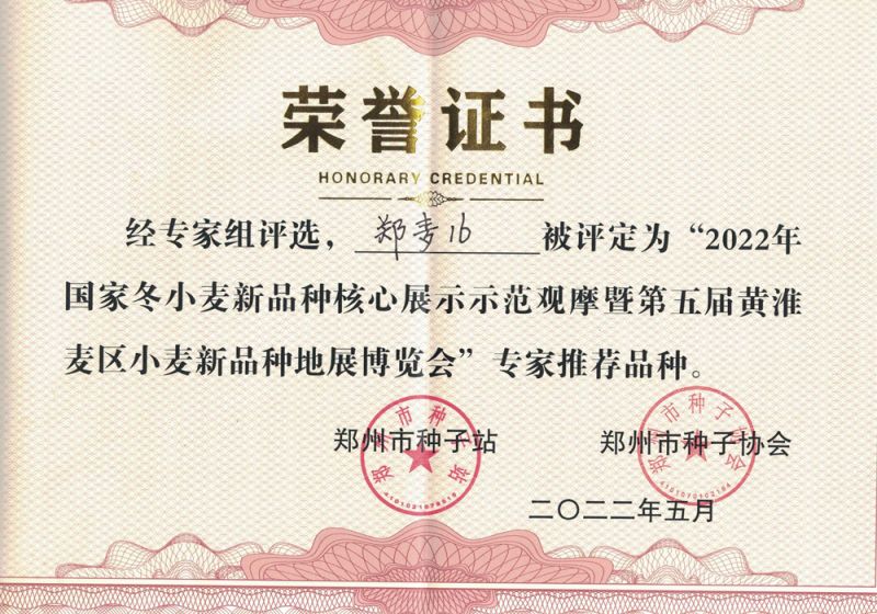 榮譽(yù)證書(shū)